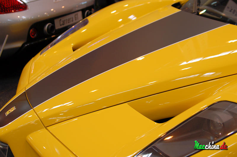 Ferrari Enzo, Foto: Macchina.de